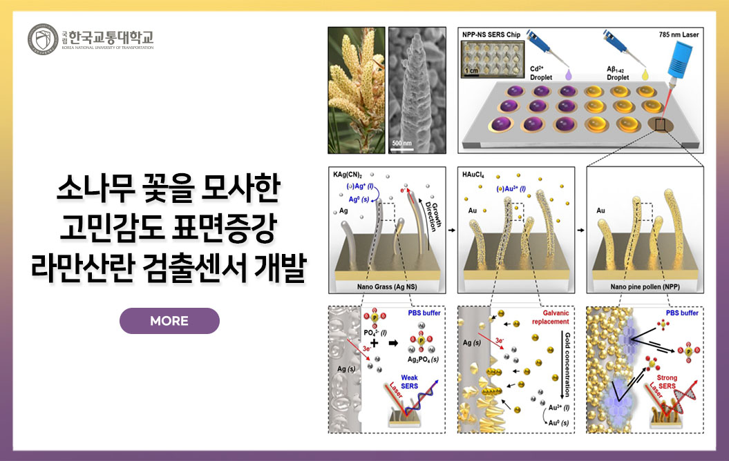 소나무 꽃을 모사한 고민감도 표면증강 라만산란 검출센서 개발