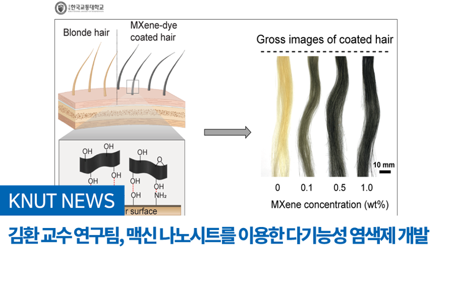 김환 교수 연구팀, 맥신 나노시트를 이용한 다기능성 염색제 개발