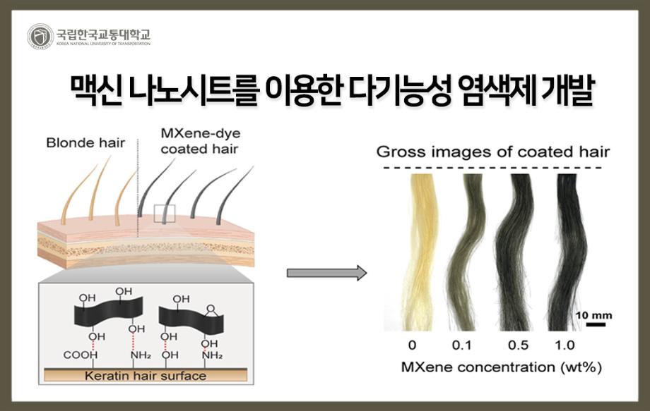 맥신 나노시트를 이용한 다기능성 염색제 개발