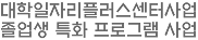 대학일자리플러스센터사업 졸업생 특화 프로그램 사업