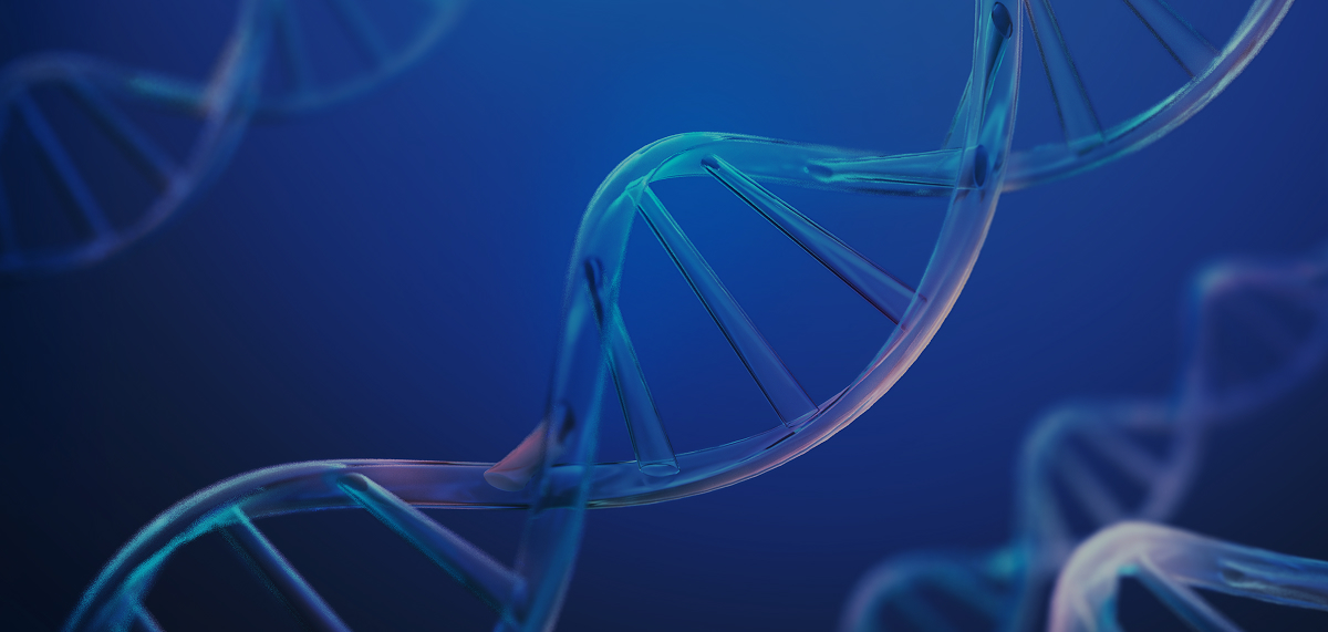 나노메디컬공학부 이미지